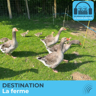 Destination la ferme