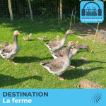Destination la ferme